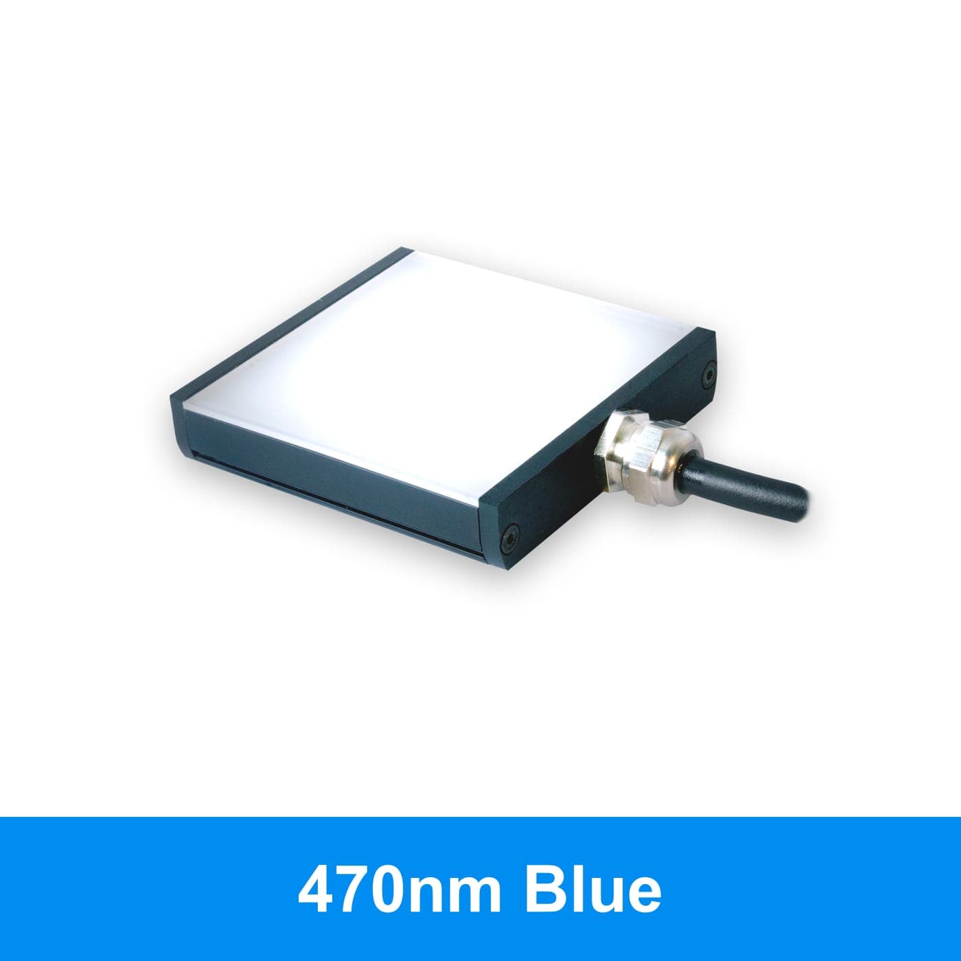 BL12802 product image