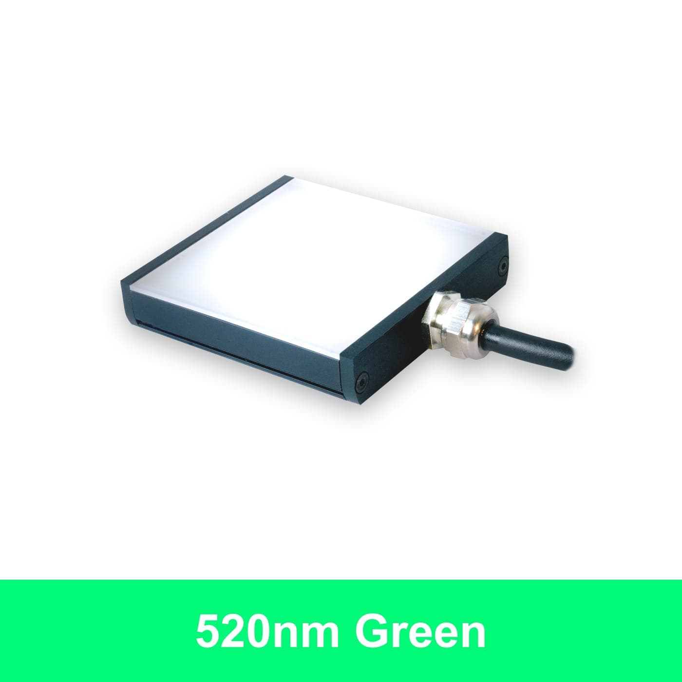 BL12802 product image
