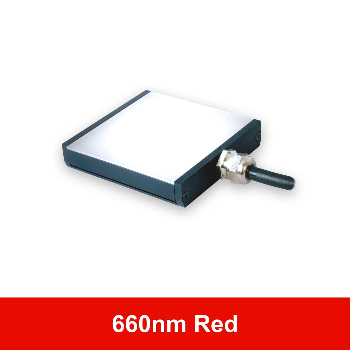 BL12809 product image