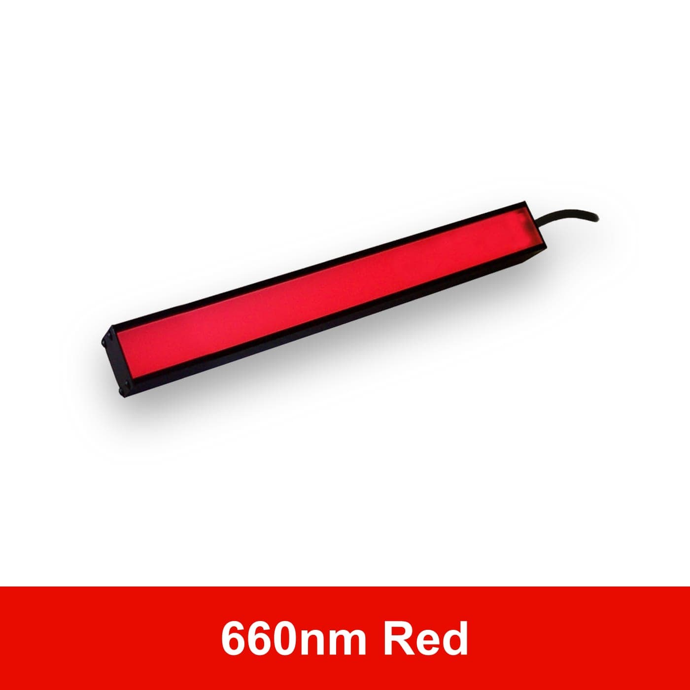 BL19310 product image