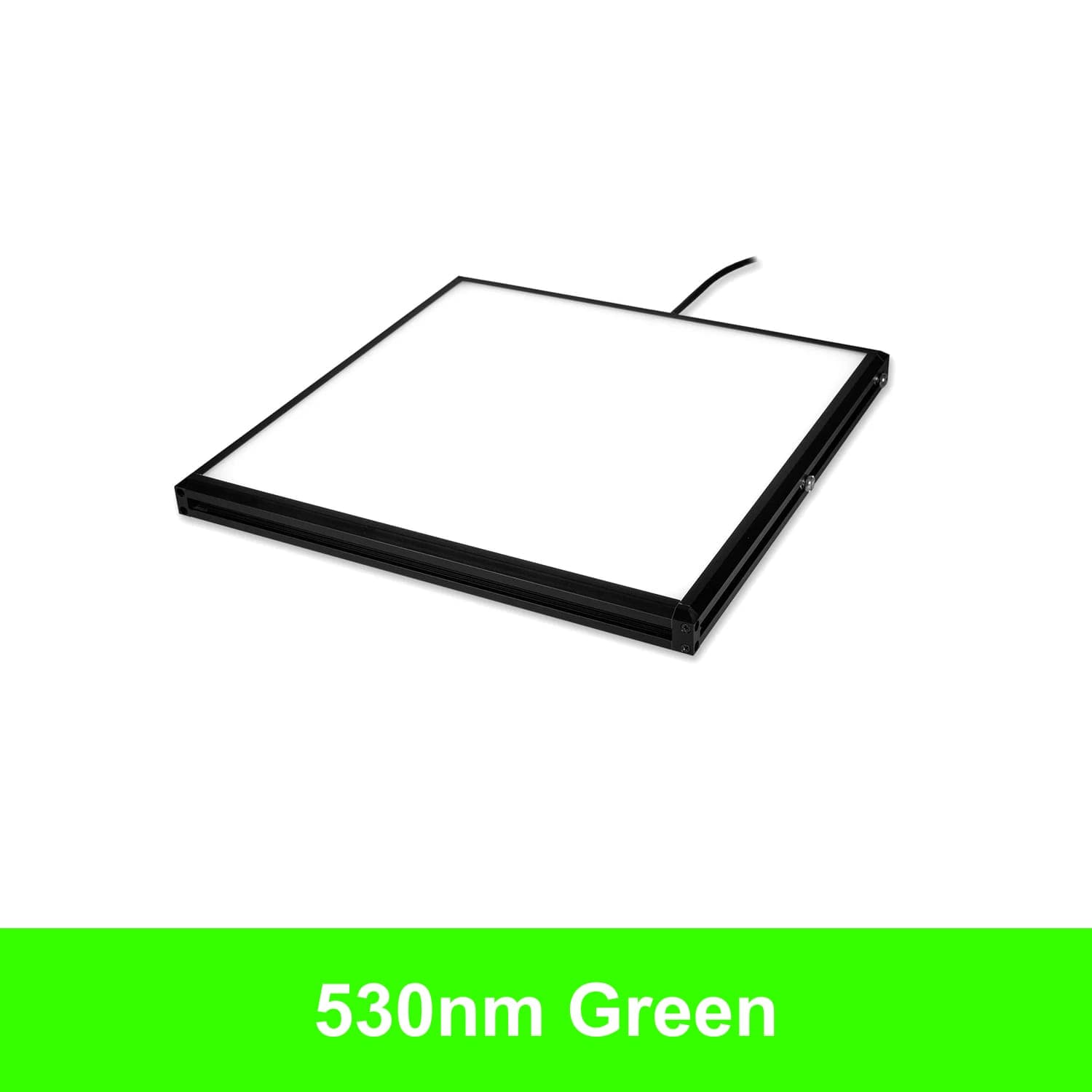 BL20808 product image