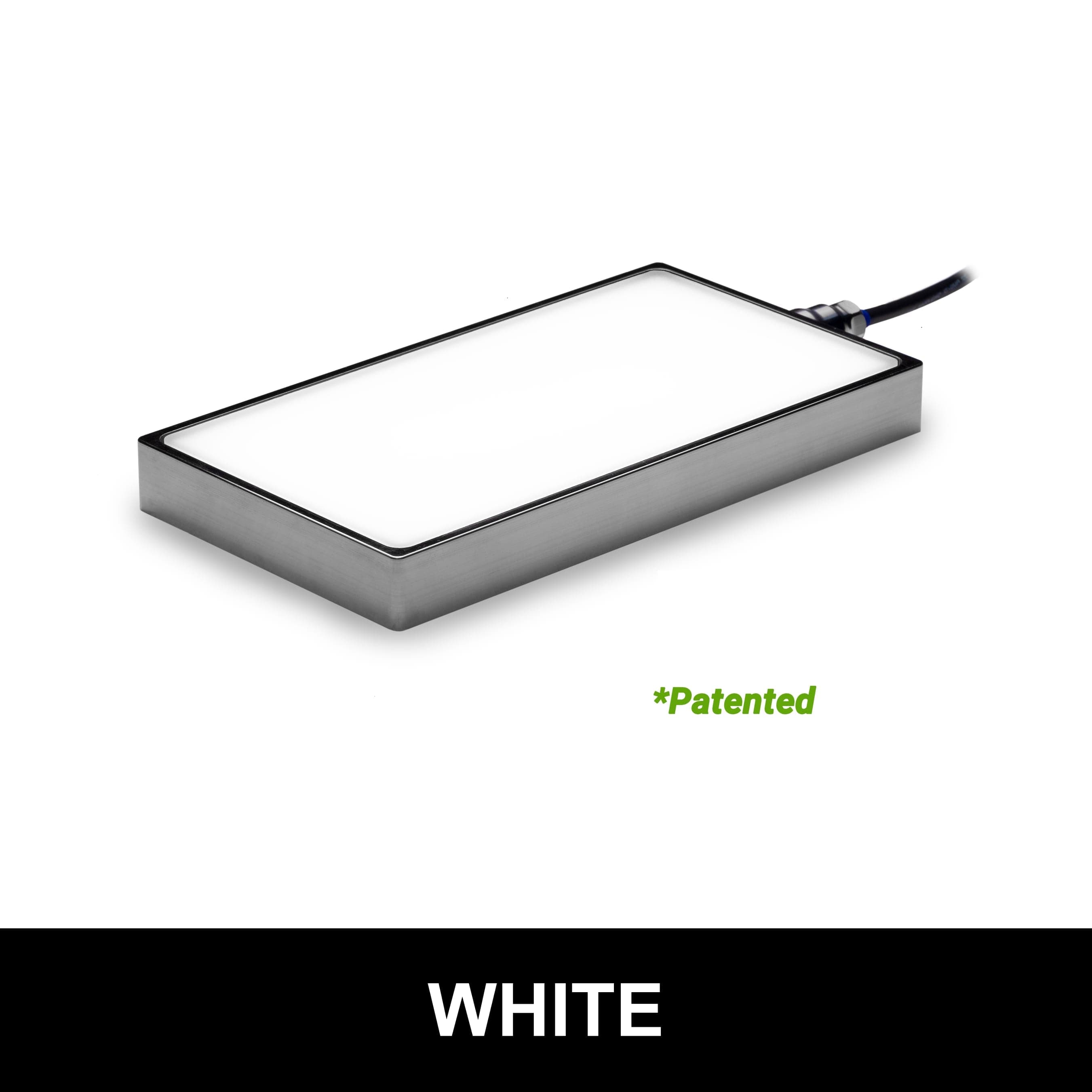 BL2450505 product image