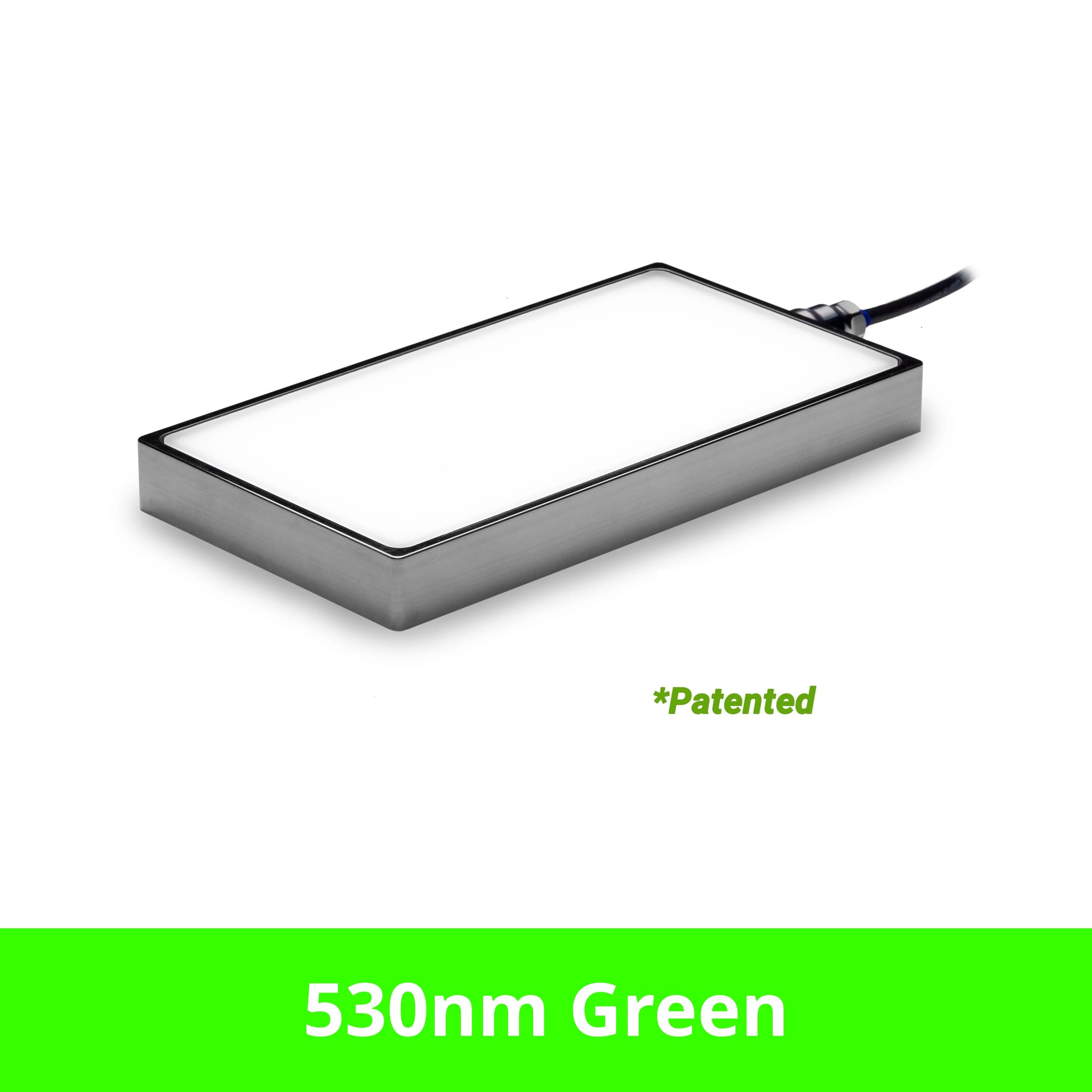 BL2450808 product image