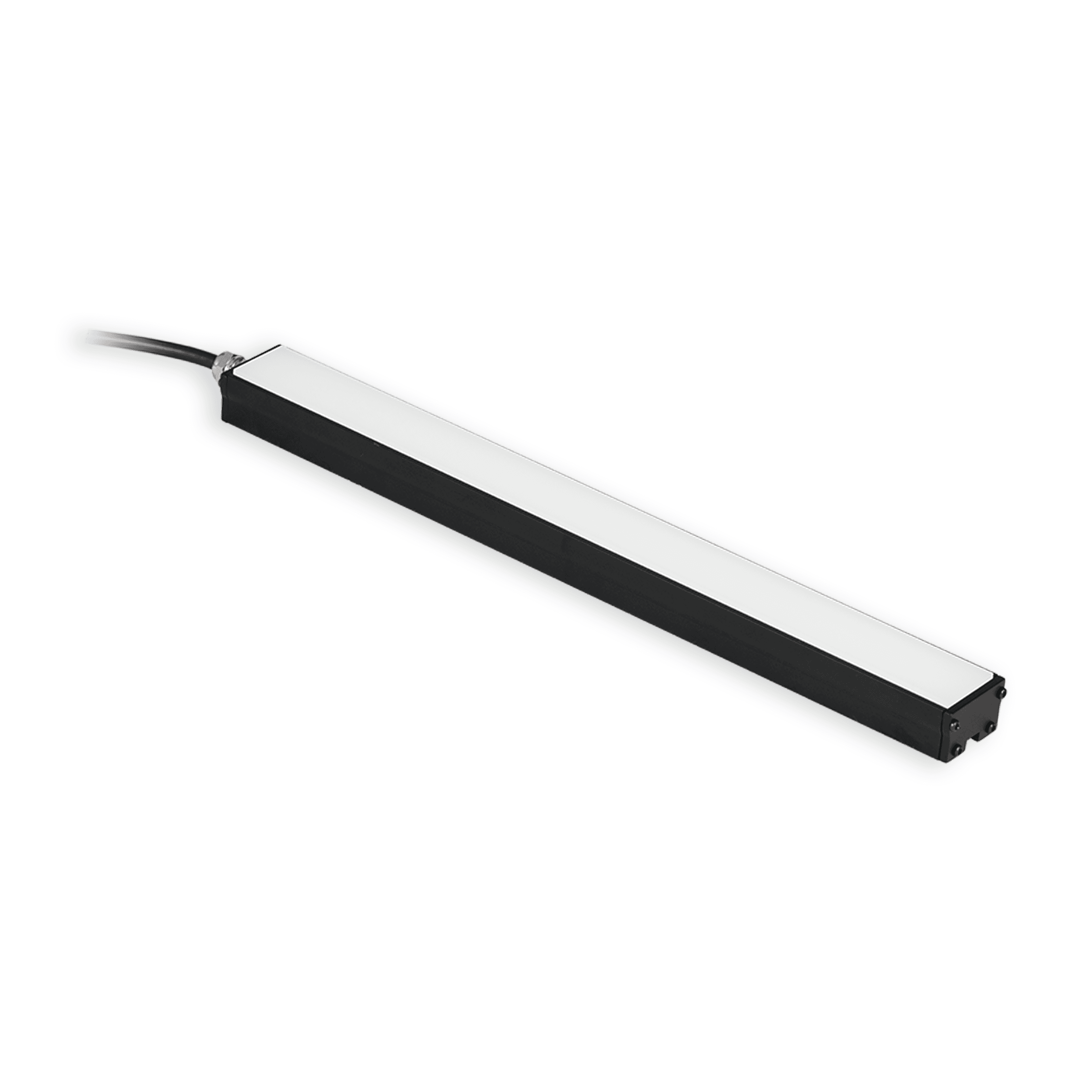 BL313 - product category