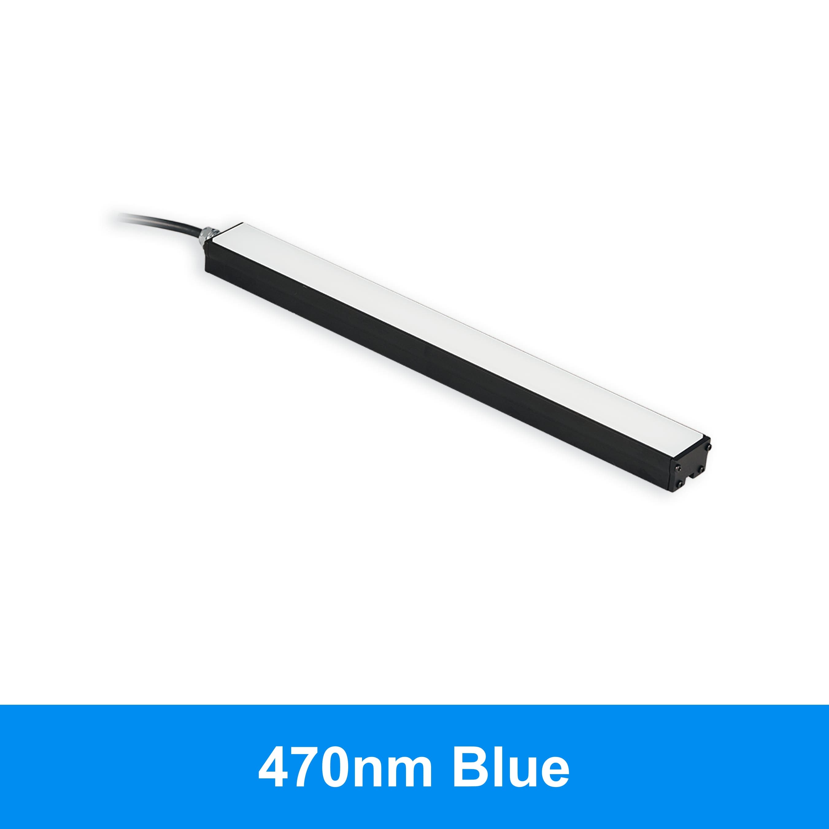 BL31302 product image