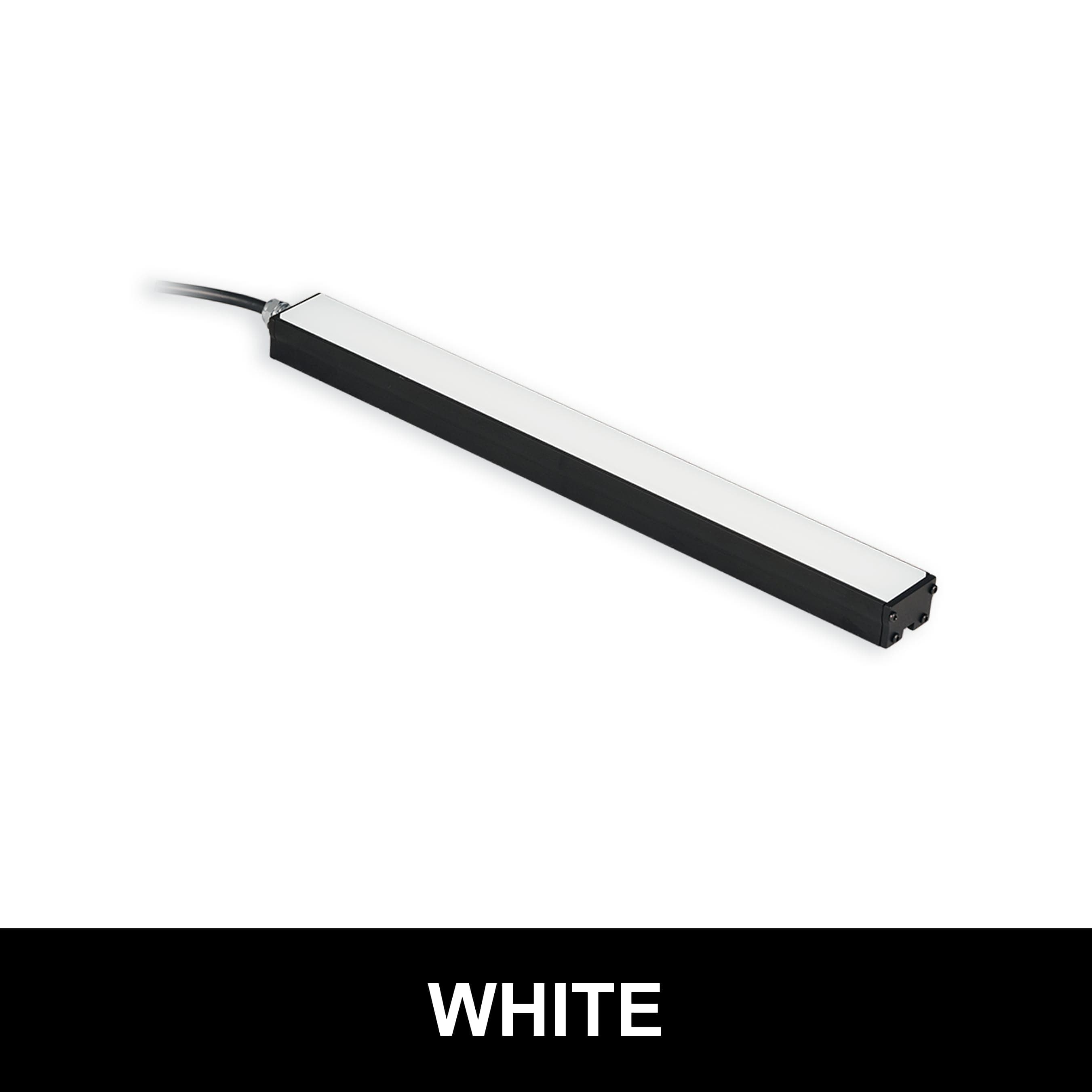 BL31304 product image