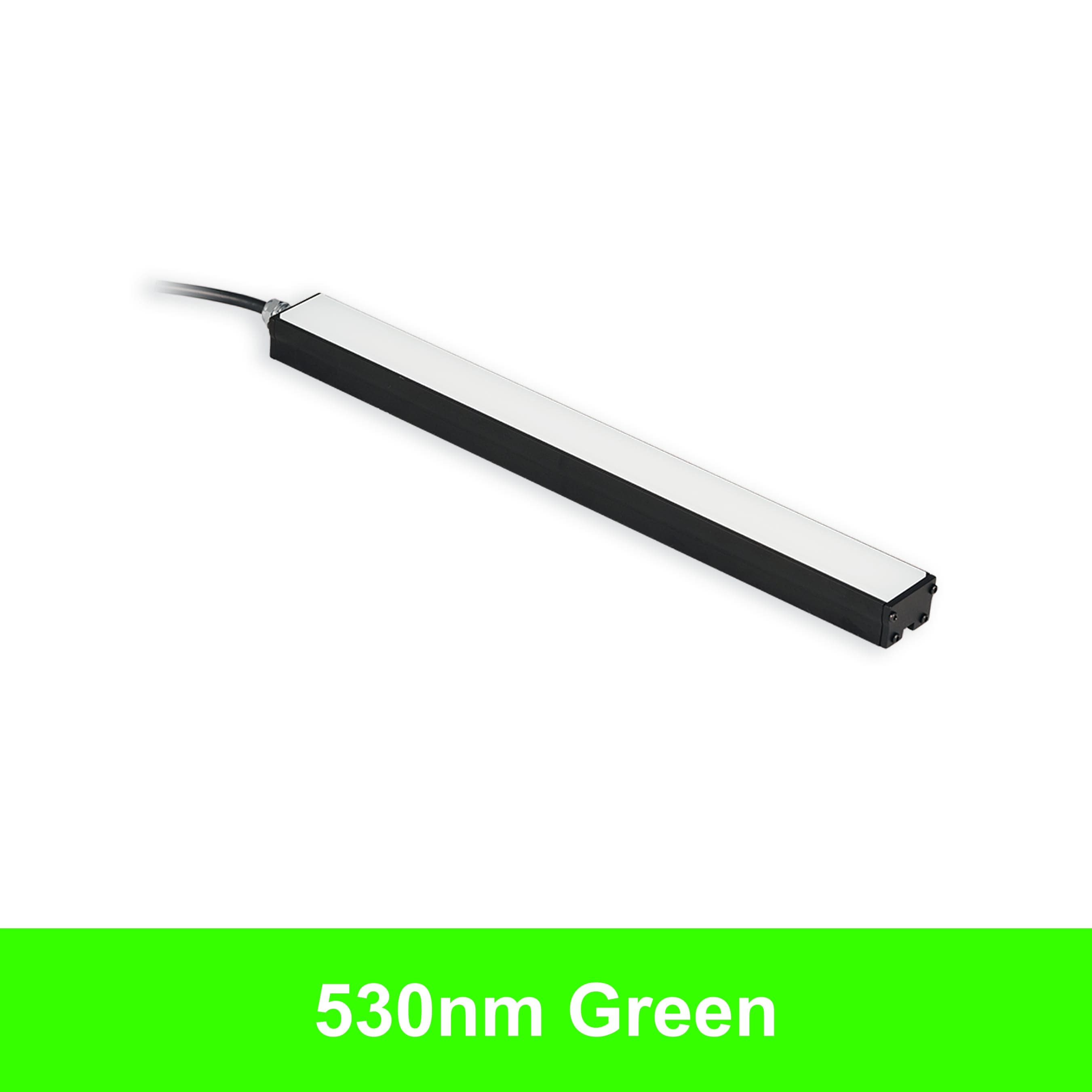 BL31306 product image