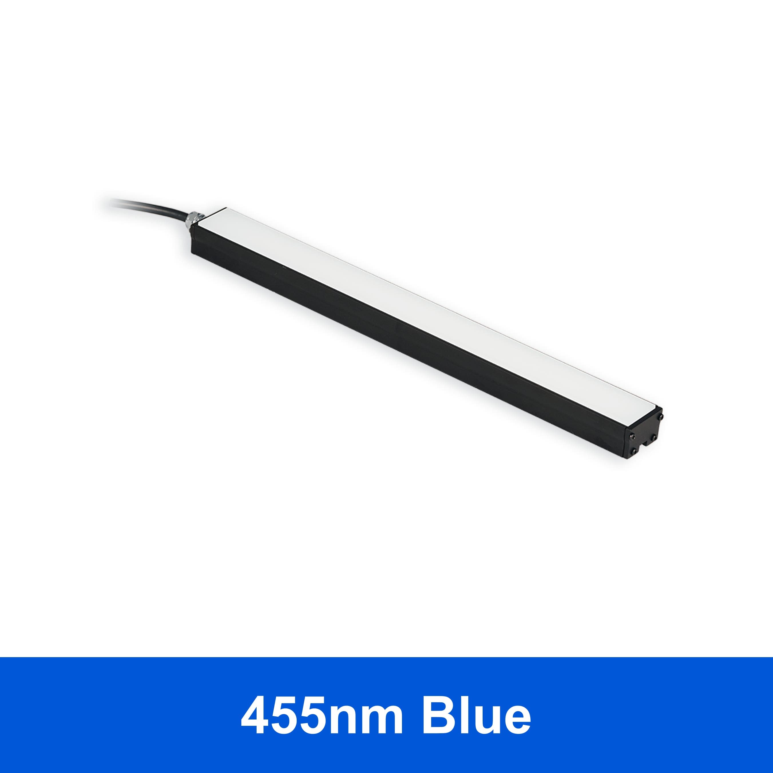 BL31308 product image