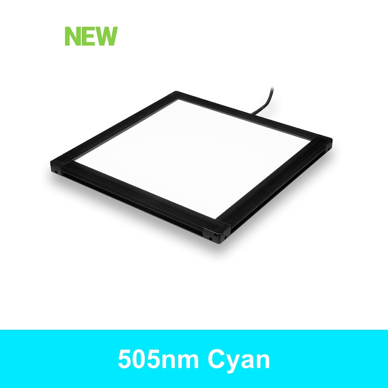 BX2600600 product image