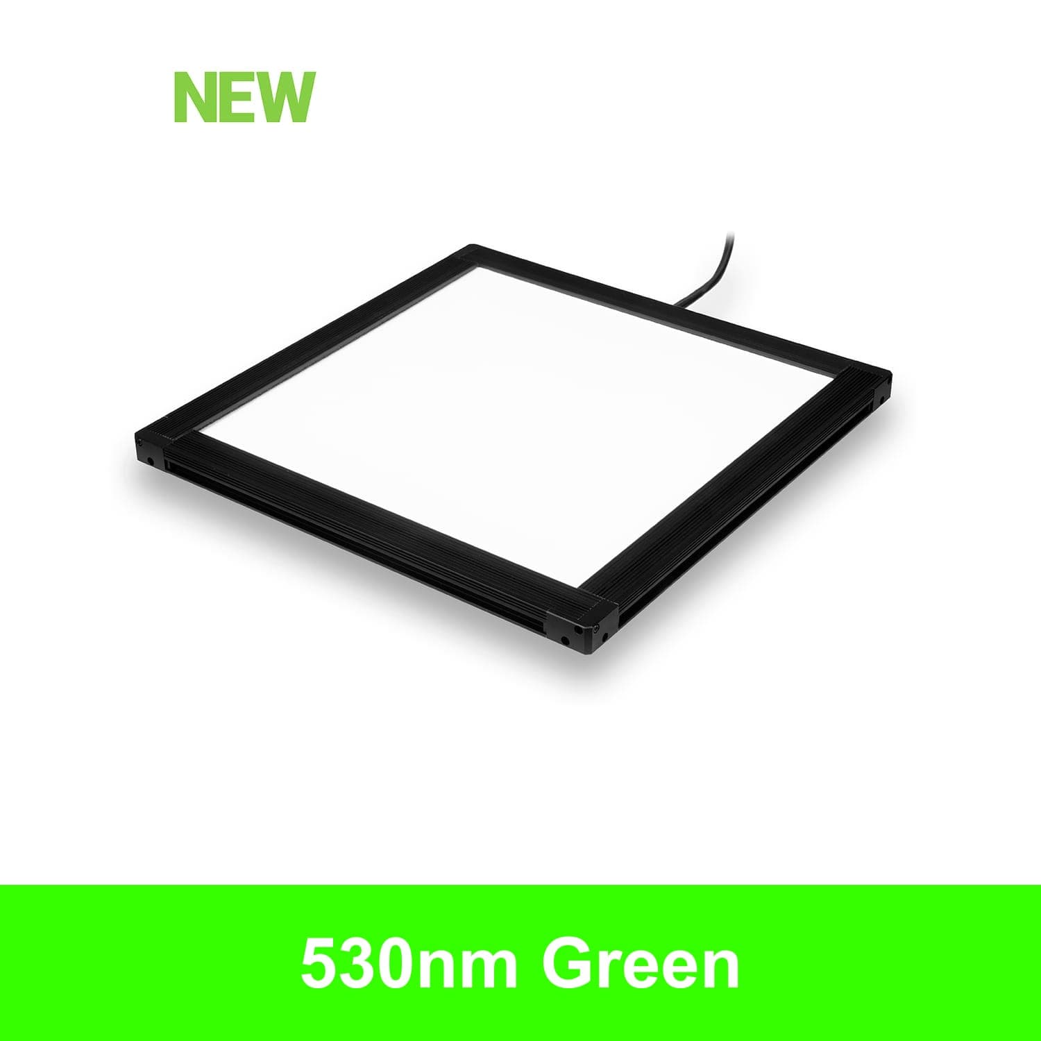 BX2600600 product image